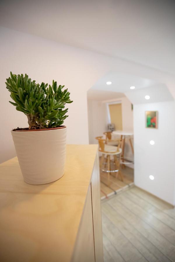 Brasha Residence Braszów Zewnętrze zdjęcie